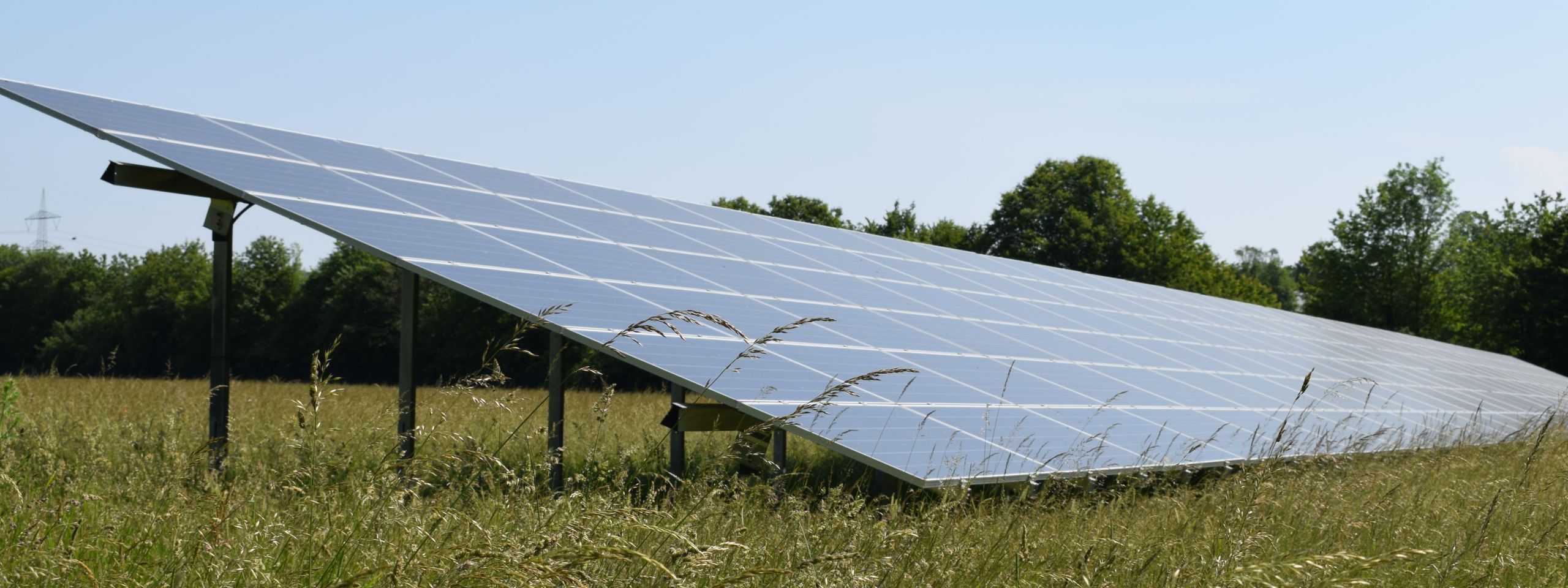 Wir suchen Freiflächen